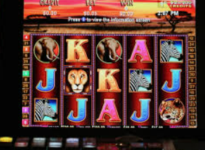 kiayun入口最新版